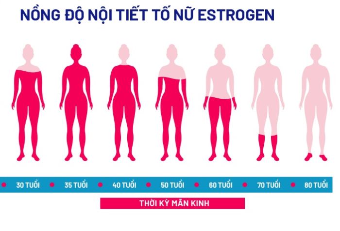 Suy giảm mức độ estrogen