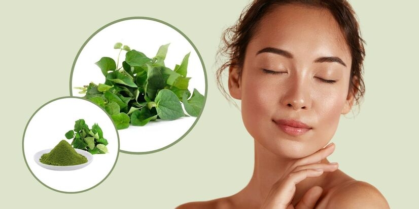 Trị mụn thịt bằng rau diếp c&aacute;